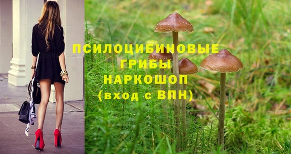 наркотики Богданович
