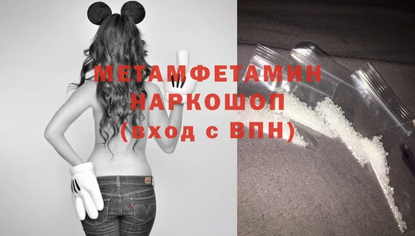 прущие грибы Богородск