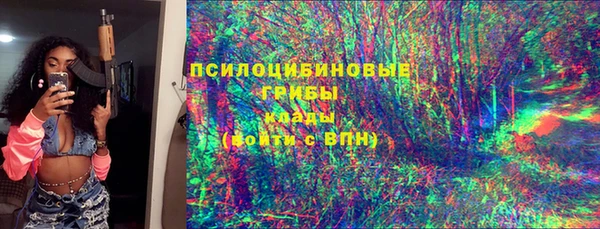 прущие грибы Богородск