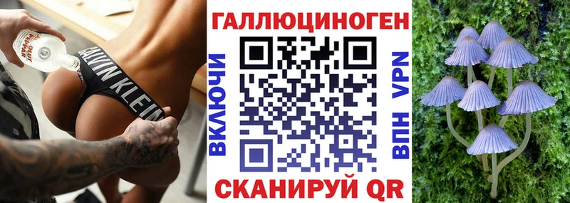 мега   закладка  Вельск  Галлюциногенные грибы Cubensis 