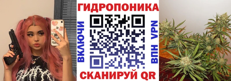Канабис THC 21% OMG сайт Вельск купить наркотик